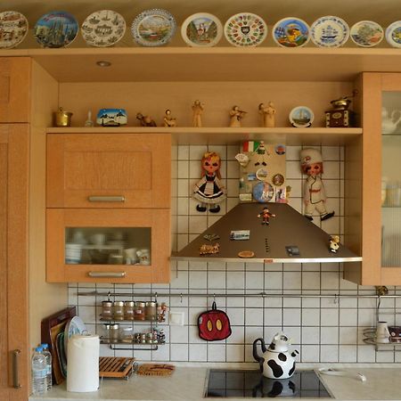 Sunny Retreat With A Garden Terrace Private Room 约阿尼纳 外观 照片