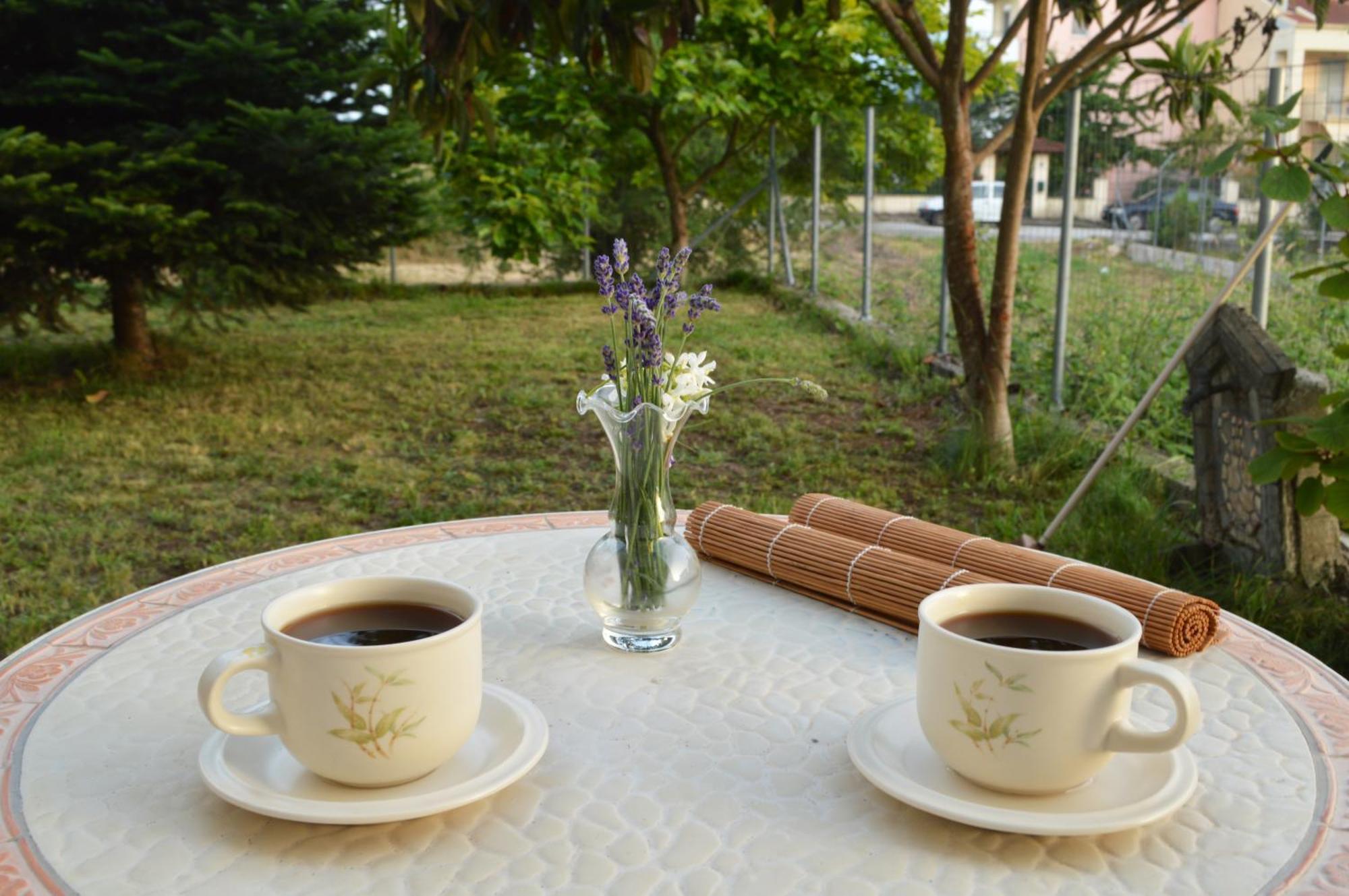 Sunny Retreat With A Garden Terrace Private Room 约阿尼纳 外观 照片