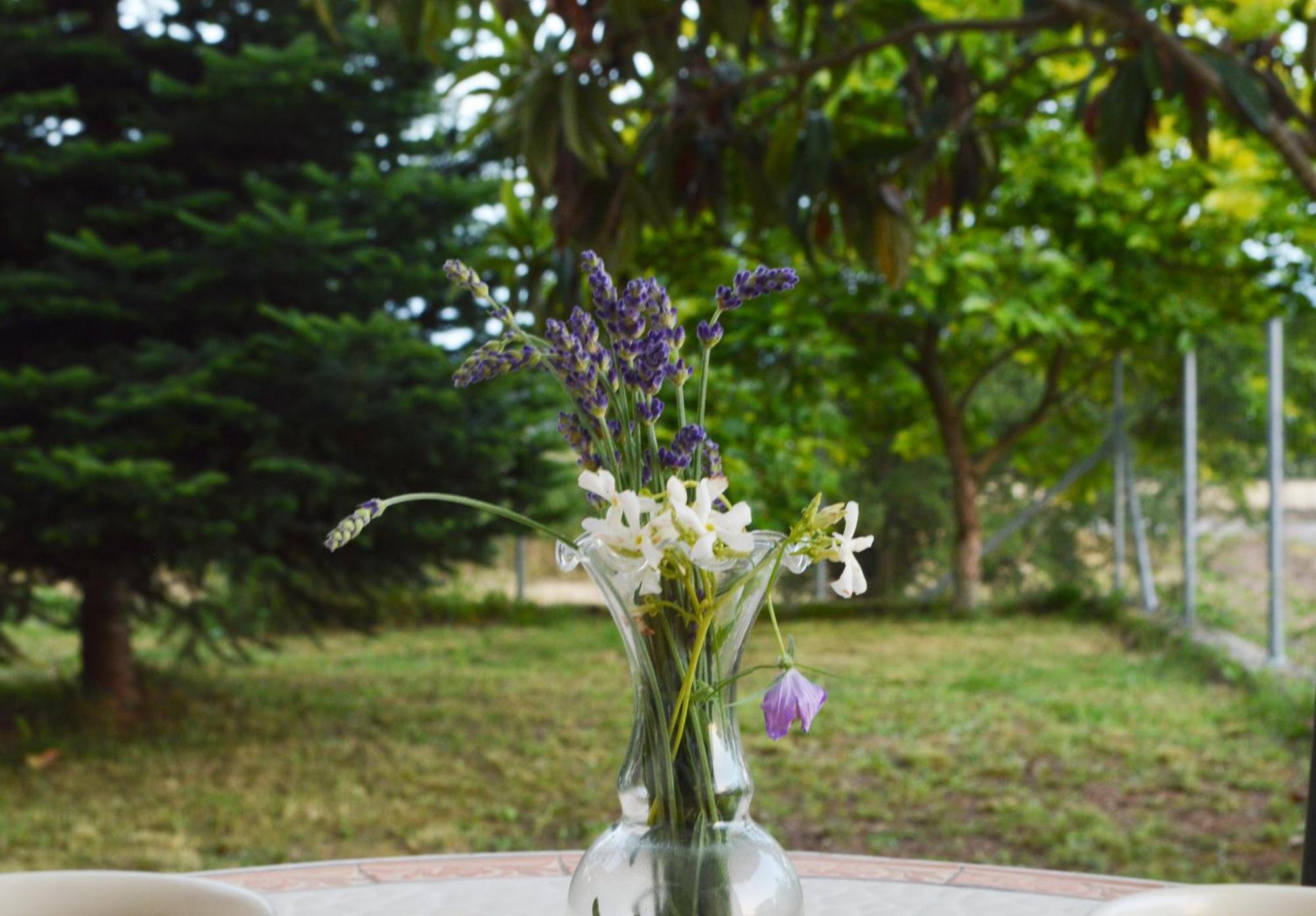Sunny Retreat With A Garden Terrace Private Room 约阿尼纳 外观 照片